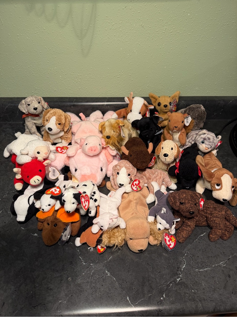 Lot of 20+ TY Beanie Babies